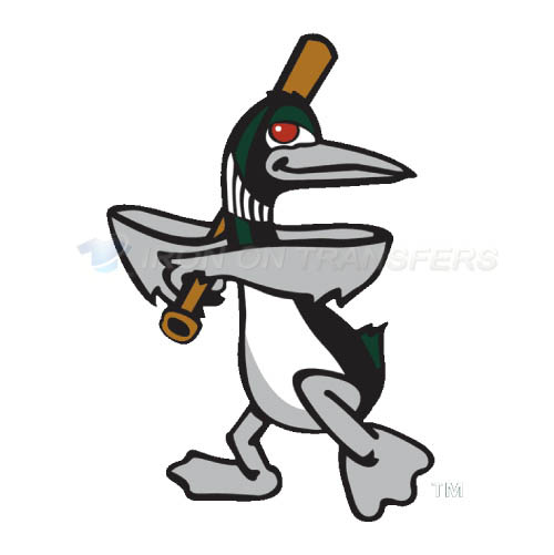 Great Lakes Loons Iron-on Stickers (Heat Transfers)NO.8105